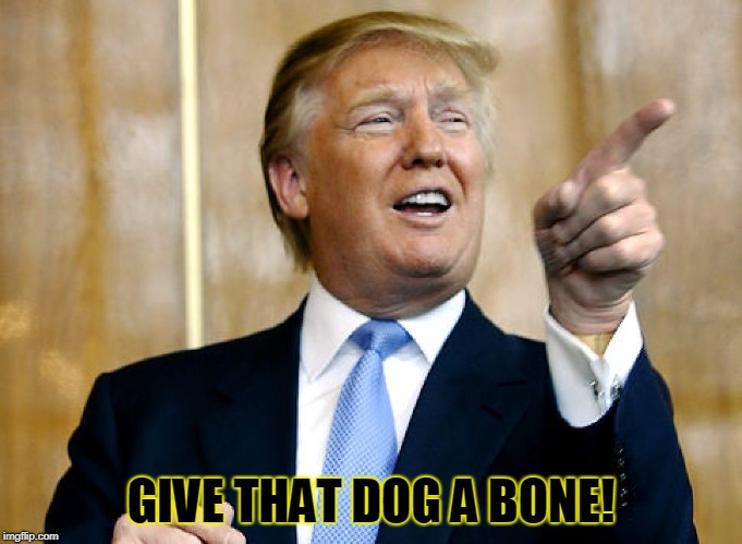 Donald Trump Pointing | GIVE THAT DOG A BONE! | image tagged in donald trump pointing | made w/ Imgflip meme maker
