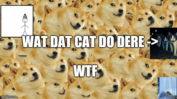Multi Doge Meme | WAT DAT CAT DO DERE
->; WTF | image tagged in memes,multi doge,scumbag | made w/ Imgflip meme maker