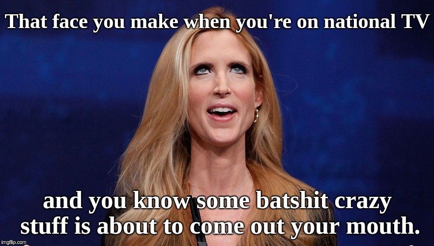 That face you make when you're on national TV; and you know some batshit crazy stuff is about to come out your mouth. | image tagged in ann coulter eyeroll | made w/ Imgflip meme maker