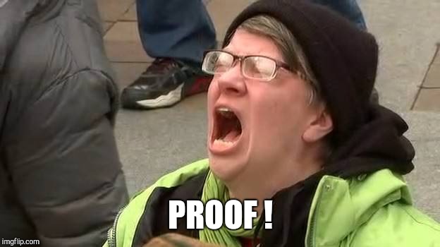 Screaming Trump Protester at Inauguration | PROOF ! | image tagged in screaming trump protester at inauguration | made w/ Imgflip meme maker