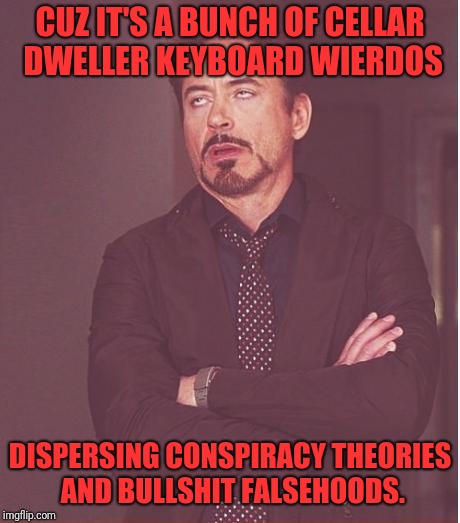 Face You Make Robert Downey Jr Meme | CUZ IT'S A BUNCH OF CELLAR DWELLER KEYBOARD WIERDOS DISPERSING CONSPIRACY THEORIES AND BULLSHIT FALSEHOODS. | image tagged in memes,face you make robert downey jr | made w/ Imgflip meme maker