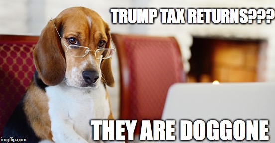 Trump tax returns | TRUMP TAX RETURNS??? THEY ARE DOGGONE | image tagged in trump,space force | made w/ Imgflip meme maker