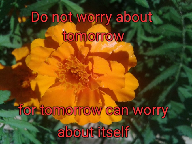 Matthew 6:34 Do Not Worry About Tomorrow | Do not worry about; tomorrow; for tomorrow can worry; about itself | image tagged in bible,holy bible,holy spirit,bible verse,verse,god | made w/ Imgflip meme maker