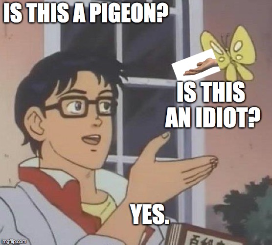 Is This An Idiot? | IS THIS A PIGEON? IS THIS AN IDIOT? YES. | image tagged in memes,is this a pigeon | made w/ Imgflip meme maker