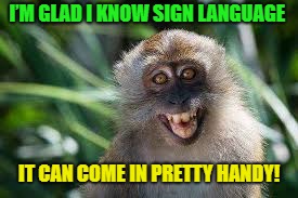 Just a little monkey business | I’M GLAD I KNOW SIGN LANGUAGE; IT CAN COME IN PRETTY HANDY! | image tagged in memes,funny,monkey business,sign language | made w/ Imgflip meme maker