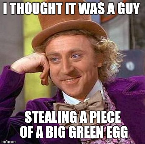 Creepy Condescending Wonka Meme | I THOUGHT IT WAS A GUY STEALING A PIECE OF A BIG GREEN EGG | image tagged in memes,creepy condescending wonka | made w/ Imgflip meme maker