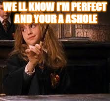 hermione | WE LL KNOW I'M PERFECT AND YOUR A ASHOLE | image tagged in hermione | made w/ Imgflip meme maker