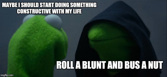 Evil Kermit | MAYBE I SHOULD START DOING SOMETHING CONSTRUCTIVE WITH MY LIFE; ROLL A BLUNT AND BUS A NUT | image tagged in memes,evil kermit | made w/ Imgflip meme maker