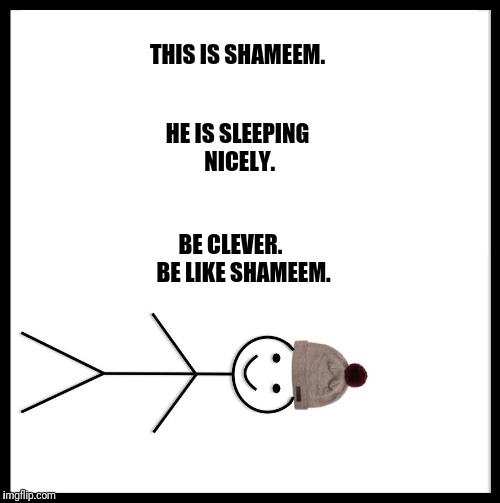 Be Like Bill Meme | THIS IS SHAMEEM. HE IS SLEEPING NICELY. BE CLEVER.      BE LIKE SHAMEEM. | image tagged in memes,be like bill | made w/ Imgflip meme maker