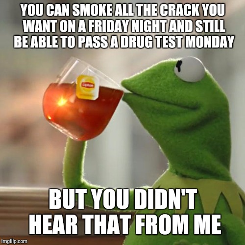 It's funny because it's true, Example #387 |  YOU CAN SMOKE ALL THE CRACK YOU WANT ON A FRIDAY NIGHT AND STILL BE ABLE TO PASS A DRUG TEST MONDAY; BUT YOU DIDN'T HEAR THAT FROM ME | image tagged in memes,but thats none of my business,kermit the frog,crack,smoke,flarp | made w/ Imgflip meme maker