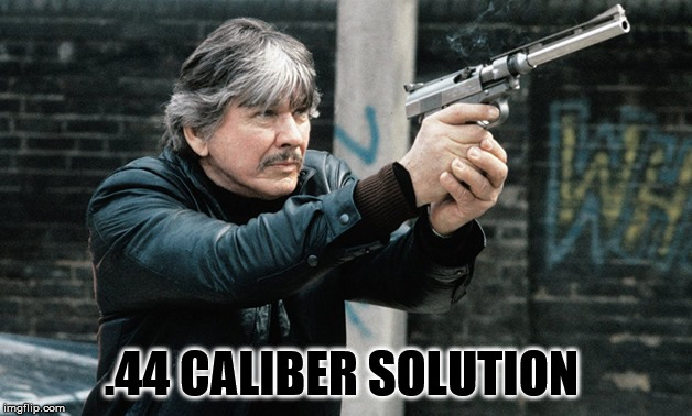 .44 CALIBER SOLUTION | made w/ Imgflip meme maker