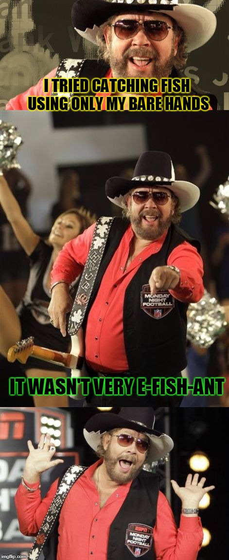 Bad Pun Hank Jr | I TRIED CATCHING FISH USING ONLY MY BARE HANDS; IT WASN'T VERY E-FISH-ANT | image tagged in bad pun hank jr,nixieknox,memes | made w/ Imgflip meme maker