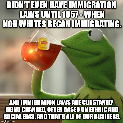 But That's None Of My Business Meme | DIDN'T EVEN HAVE IMMIGRATION LAWS UNTIL 1857 - WHEN NON WHITES BEGAN IMMIGRATING. AND IMMIGRATION LAWS ARE CONSTANTLY BEING CHANGED, OFTEN BASED ON ETHNIC AND SOCIAL BIAS. AND THAT'S ALL OF OUR BUSINESS. | image tagged in memes,but thats none of my business,kermit the frog | made w/ Imgflip meme maker