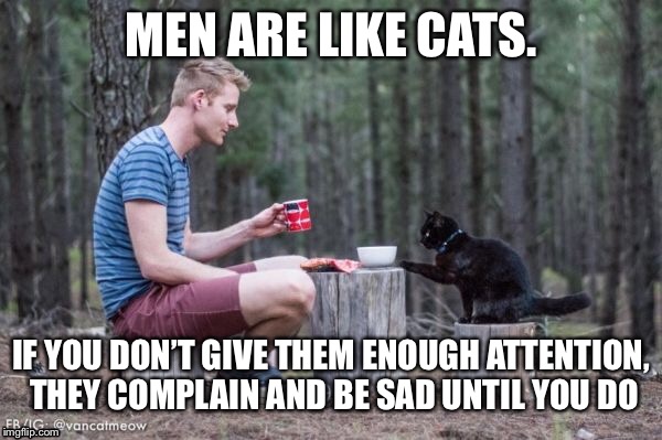 Men=Overgrown cats | MEN ARE LIKE CATS. IF YOU DON’T GIVE THEM ENOUGH ATTENTION, THEY COMPLAIN AND BE SAD UNTIL YOU DO | image tagged in men,cat memes,cat,memes,bad memes | made w/ Imgflip meme maker