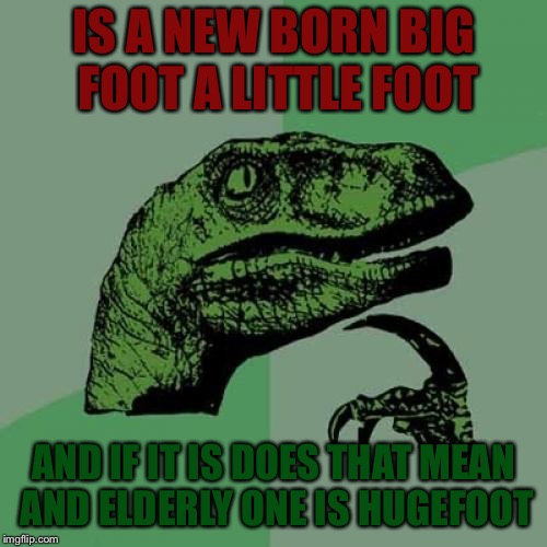 Philosoraptor Meme | IS A NEW BORN BIG FOOT A LITTLE FOOT; AND IF IT IS DOES THAT MEAN AND ELDERLY ONE IS HUGEFOOT | image tagged in memes,philosoraptor | made w/ Imgflip meme maker