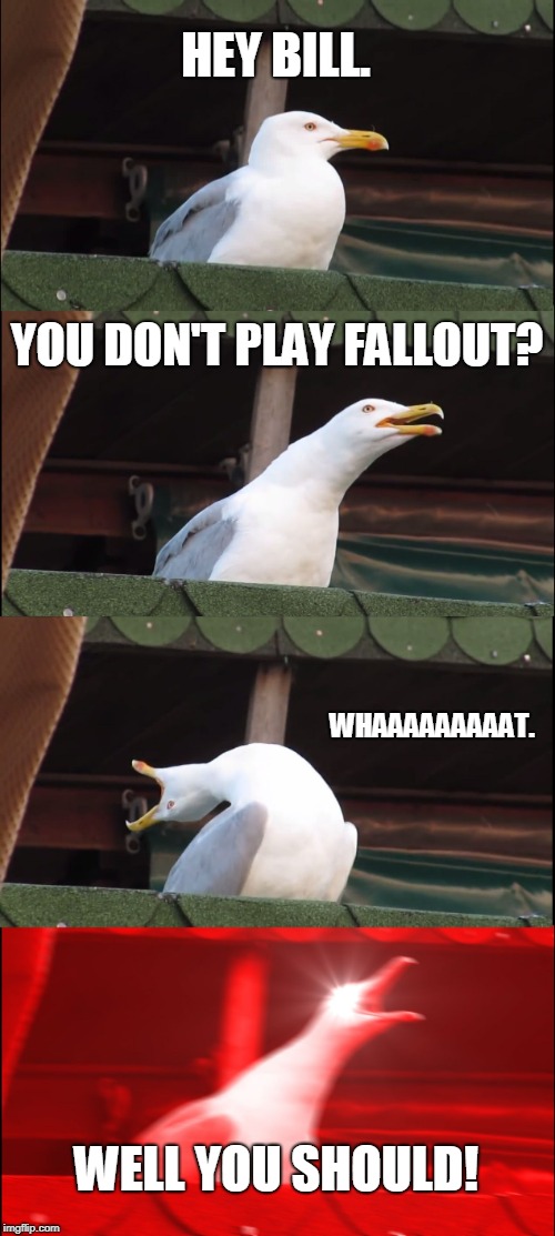 Inhaling Seagull | HEY BILL. YOU DON'T PLAY FALLOUT? WHAAAAAAAAAT. WELL YOU SHOULD! | image tagged in memes,inhaling seagull | made w/ Imgflip meme maker