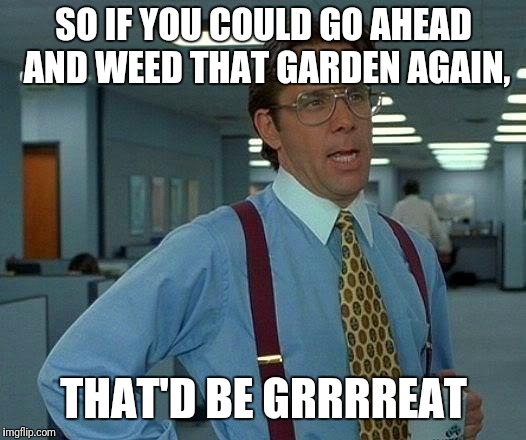 That Would Be Great | SO IF YOU COULD GO AHEAD AND WEED THAT GARDEN AGAIN, THAT'D BE GRRRREAT | image tagged in memes,that would be great | made w/ Imgflip meme maker
