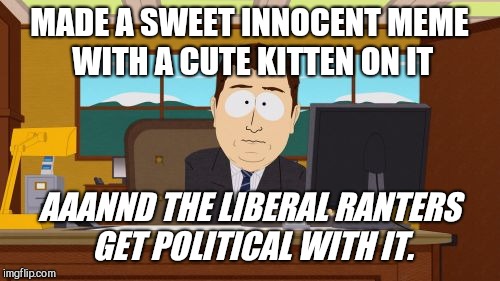 Aaaaand Its Gone | MADE A SWEET INNOCENT MEME WITH A CUTE KITTEN ON IT; AAANND THE LIBERAL RANTERS GET POLITICAL WITH IT. | image tagged in memes,aaaaand its gone,innocent fun,liberal rants | made w/ Imgflip meme maker