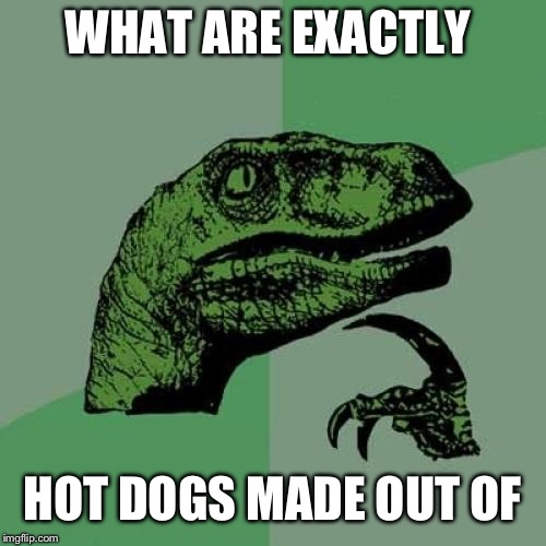 Philosoraptor | WHAT ARE EXACTLY; HOT DOGS MADE OUT OF | image tagged in memes,philosoraptor | made w/ Imgflip meme maker