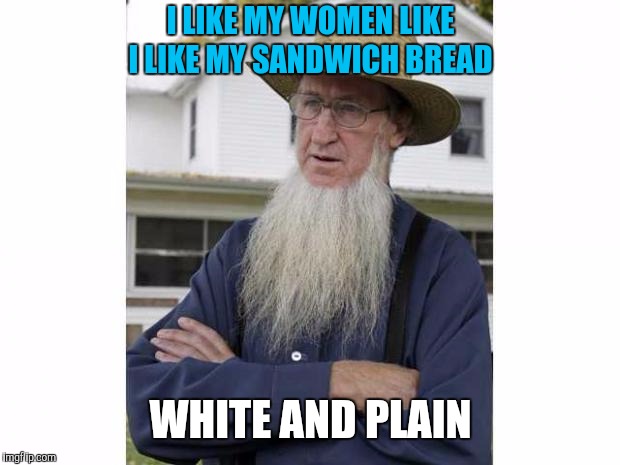 Amish Style | I LIKE MY WOMEN LIKE I LIKE MY SANDWICH BREAD WHITE AND PLAIN | image tagged in amish style | made w/ Imgflip meme maker