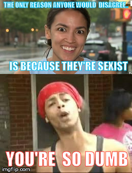 So dumb | THE ONLY REASON ANYONE WOULD  DISAGREE.. IS BECAUSE THEY'RE SEXIST; YOU'RE  SO DUMB | image tagged in dumb,sexist | made w/ Imgflip meme maker