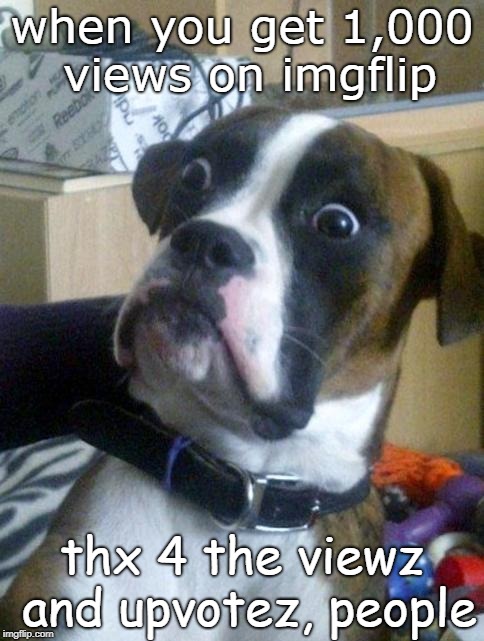 1,000 Views. Yolo! | when you get 1,000 views on imgflip; thx 4 the viewz and upvotez, people | image tagged in suprised boxer,imgflip,upvotes,views,thank you | made w/ Imgflip meme maker