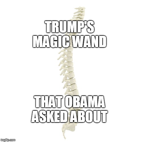 When you have one you get stuff done  | TRUMP'S MAGIC WAND; THAT OBAMA ASKED ABOUT | image tagged in magic wand,backbone,spine,trump,obama,memes | made w/ Imgflip meme maker