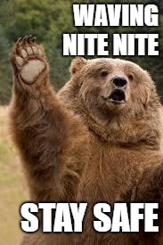 grizzly bear | WAVING NITE NITE; STAY SAFE | image tagged in grizzly bear | made w/ Imgflip meme maker