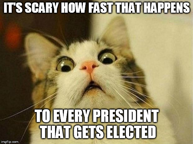 Scared Cat Meme | IT'S SCARY HOW FAST THAT HAPPENS TO EVERY PRESIDENT THAT GETS ELECTED | image tagged in memes,scared cat | made w/ Imgflip meme maker