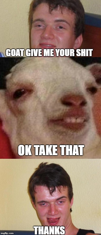 Funny Goat | GOAT GIVE ME YOUR SHIT; OK TAKE THAT; THANKS | image tagged in lol so funny | made w/ Imgflip meme maker