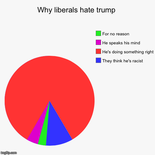 Why liberals hate trump | They think he's racist, He's doing something right, He speaks his mind, For no reason | image tagged in funny,pie charts | made w/ Imgflip chart maker