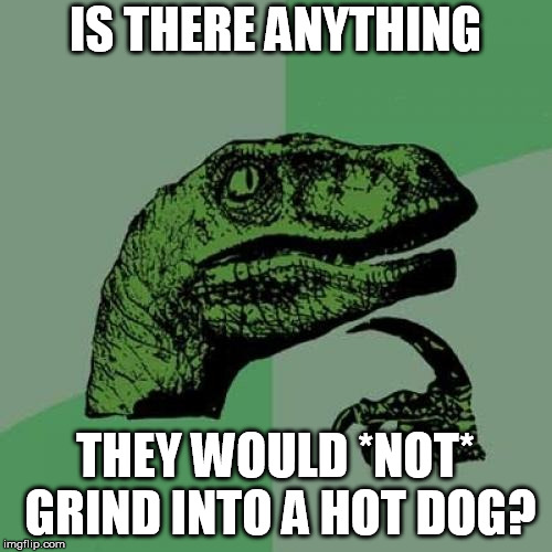 Philosoraptor Meme | IS THERE ANYTHING THEY WOULD *NOT* GRIND INTO A HOT DOG? | image tagged in memes,philosoraptor | made w/ Imgflip meme maker
