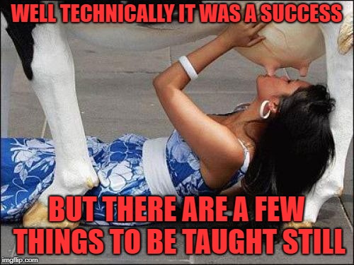 WELL TECHNICALLY IT WAS A SUCCESS BUT THERE ARE A FEW THINGS TO BE TAUGHT STILL | made w/ Imgflip meme maker