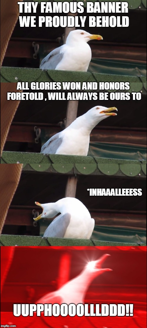 Inhaling Seagull | THY FAMOUS BANNER WE PROUDLY BEHOLD; ALL GLORIES WON AND HONORS FORETOLD , WILL ALWAYS BE OURS TO; *INHAAALLEEESS; UUPPHOOOOLLLDDD!! | image tagged in memes,inhaling seagull | made w/ Imgflip meme maker