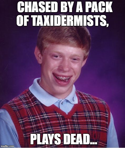 Bad Luck Brian Meme |  CHASED BY A PACK OF TAXIDERMISTS, PLAYS DEAD... | image tagged in memes,bad luck brian | made w/ Imgflip meme maker