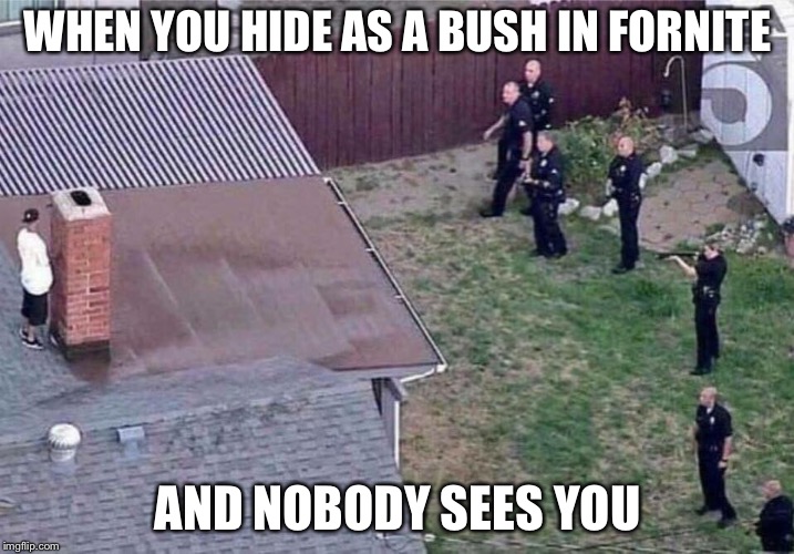 Fortnite meme | WHEN YOU HIDE AS A BUSH IN FORNITE; AND NOBODY SEES YOU | image tagged in fortnite meme | made w/ Imgflip meme maker