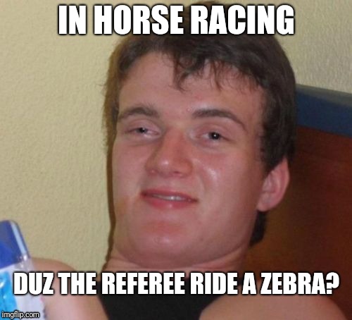 10 Guy Meme | IN HORSE RACING; DUZ THE REFEREE RIDE A ZEBRA? | image tagged in memes,10 guy | made w/ Imgflip meme maker