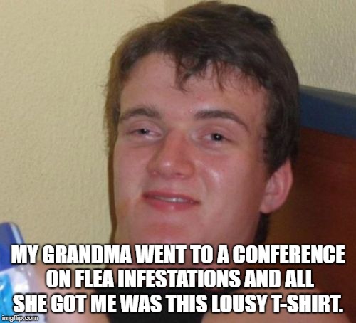 10 Guy | MY GRANDMA WENT TO A CONFERENCE ON FLEA INFESTATIONS AND ALL SHE GOT ME WAS THIS LOUSY T-SHIRT. | image tagged in memes,10 guy | made w/ Imgflip meme maker