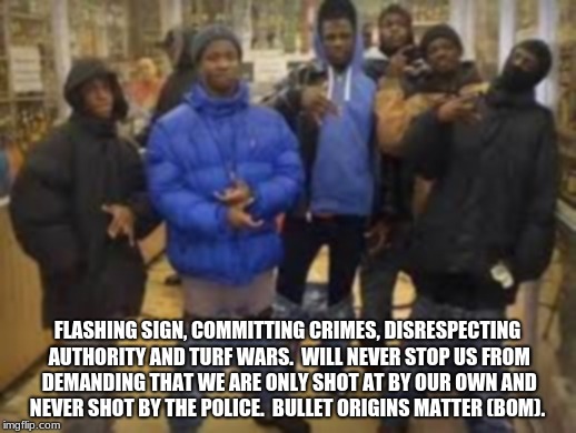 Group of thugs | FLASHING SIGN, COMMITTING CRIMES, DISRESPECTING AUTHORITY AND TURF WARS.  WILL NEVER STOP US FROM DEMANDING THAT WE ARE ONLY SHOT AT BY OUR OWN AND NEVER SHOT BY THE POLICE.  BULLET ORIGINS MATTER (BOM). | image tagged in group of thugs | made w/ Imgflip meme maker