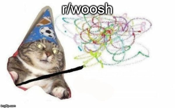 Woosh cat | r/woosh | image tagged in woosh cat | made w/ Imgflip meme maker