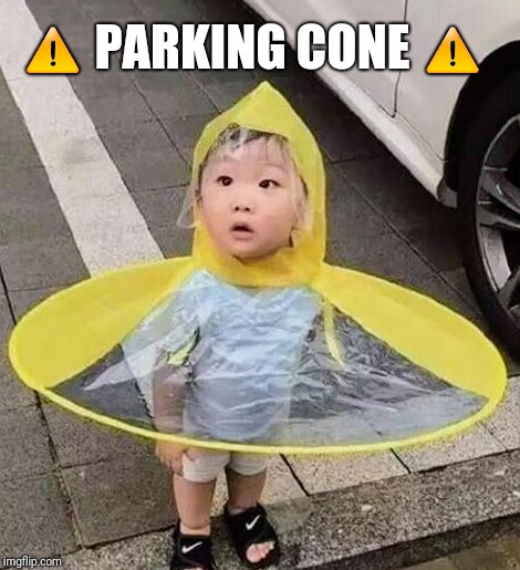 Parking cone⚠️ |  ⚠️ PARKING CONE ⚠️ | image tagged in parking cone | made w/ Imgflip meme maker