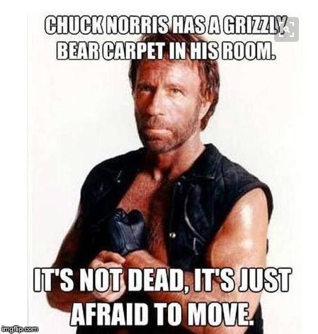 grizzly bears tremble with chuck in the room!  | .      . | image tagged in chuck norris,afraid,grizzly bear,carpet,room | made w/ Imgflip meme maker