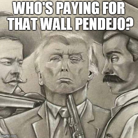 Who's paying for that wall? | WHO'S PAYING FOR THAT WALL PENDEJO? | image tagged in wall,trump,mexico,pendejo | made w/ Imgflip meme maker