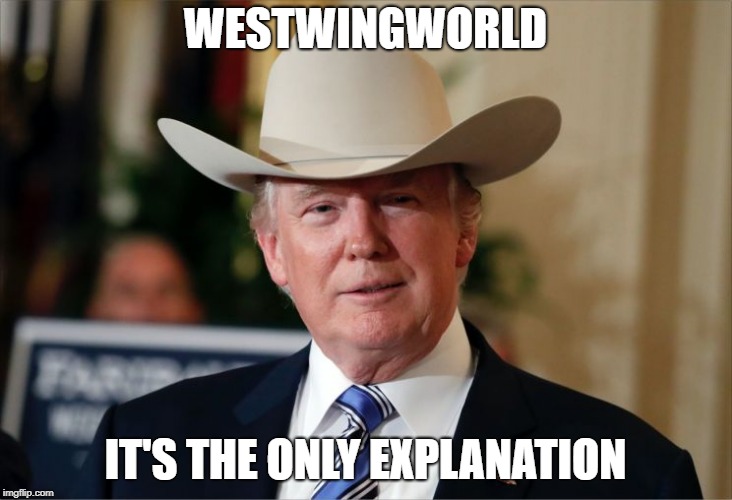 WESTWINGWORLD; IT'S THE ONLY EXPLANATION | image tagged in westwingworld | made w/ Imgflip meme maker