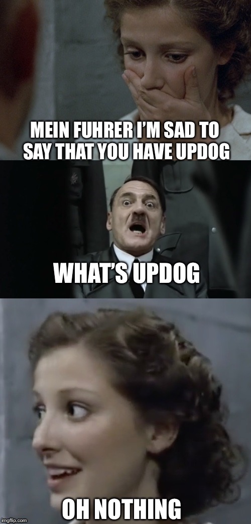 Yeah... | MEIN FUHRER I’M SAD TO SAY THAT YOU HAVE UPDOG; WHAT’S UPDOG; OH NOTHING | image tagged in anti joke traudl,memes,updog | made w/ Imgflip meme maker