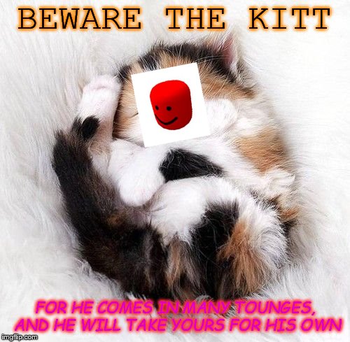 Soft kitty | BEWARE THE KITT; FOR HE COMES IN MANY TOUNGES, AND HE WILL TAKE YOURS FOR HIS OWN | image tagged in soft kitty | made w/ Imgflip meme maker