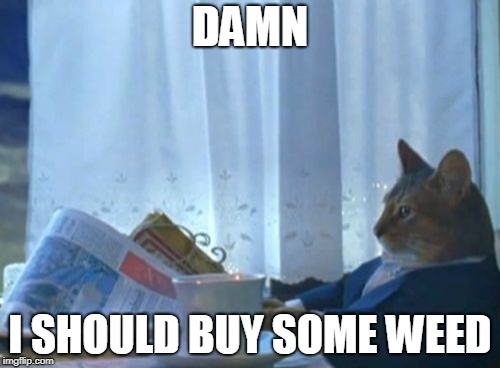 I Should Buy A Boat Cat Meme | DAMN; I SHOULD BUY SOME WEED | image tagged in memes,i should buy a boat cat | made w/ Imgflip meme maker