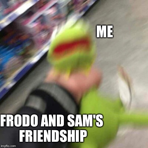 Kermit CHoking | ME; FRODO AND SAM'S FRIENDSHIP | image tagged in kermit choking | made w/ Imgflip meme maker