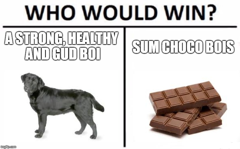 Who Would Win? Meme | A STRONG, HEALTHY AND GUD BOI; SUM CHOCO BOIS | image tagged in memes,who would win | made w/ Imgflip meme maker