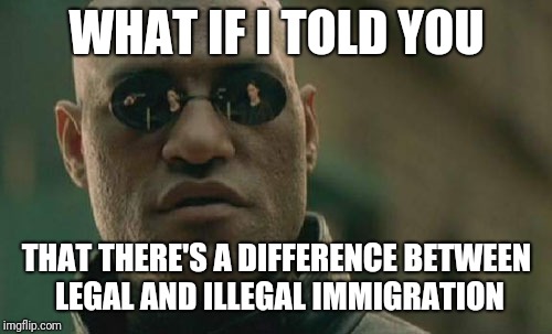 Matrix Morpheus Meme | WHAT IF I TOLD YOU THAT THERE'S A DIFFERENCE BETWEEN LEGAL AND ILLEGAL IMMIGRATION | image tagged in memes,matrix morpheus | made w/ Imgflip meme maker